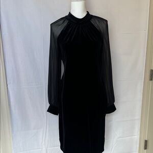 Calvin Klein Collection Black Dress with Sheer Sleeves